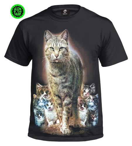 Cat kittens - cat,