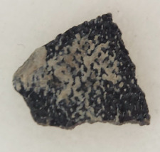 Hadrosaur Egg Shell Fossil -