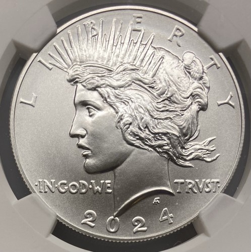 Ngc ms70 2024 - us, 🇺🇸