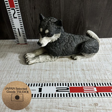 Siberian Husky Puppy Dog