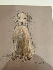 Labrador Framed Picture