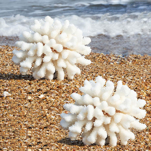 Artificial coral ornament - coral,