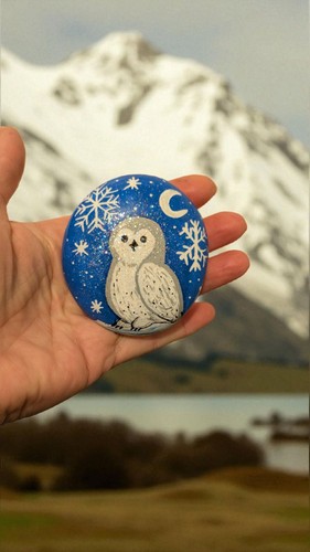 Snow night scene owl hand - night,