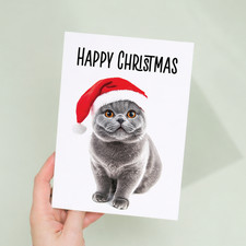 British Shorthair Cat Santa