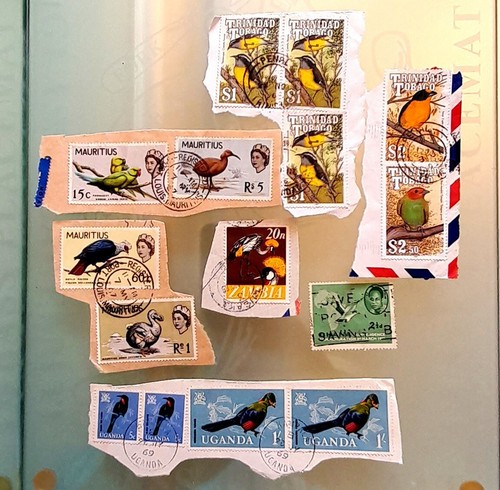 Thematic stamps birds world - birds,