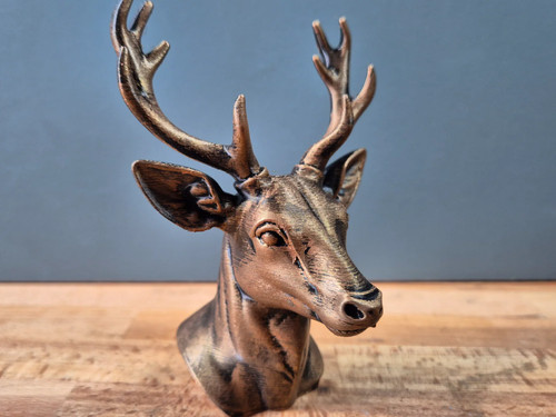 Fallow deer bust - fallow,