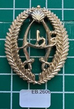 Qatar Police Inspectors