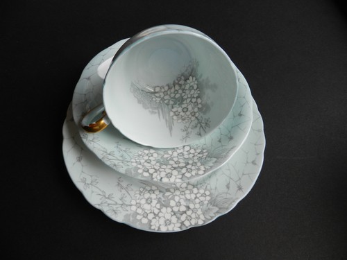 Single aynsley grey flowers - aynsley,