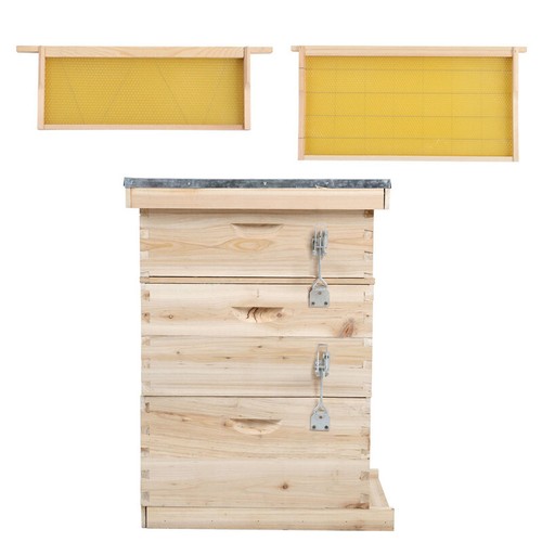 Langstroth beehive box - beehive,