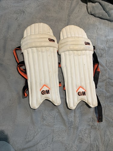 202 junior cricket - 202,
