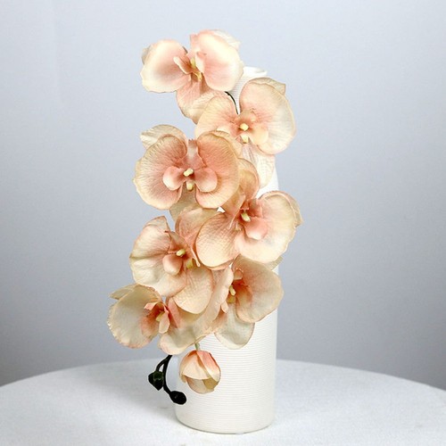 Beautifully crafted head - 8,