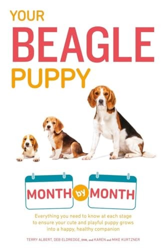 Your beagle puppy month - beagle,