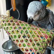 Foraging pouch chewable - pouch, parrot