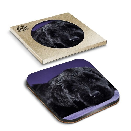 Boxed square coasters - square,