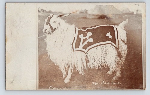 Military welsh regimental - welsh,