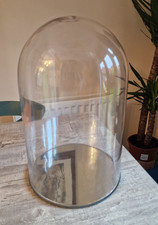 Glass display dome bell jar with mirror base - perfect for weddings, home decor