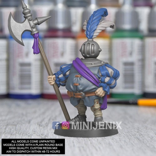 Onion knight fantasy d - knight, d&d