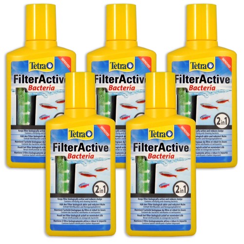 Tetra filter active - active, live