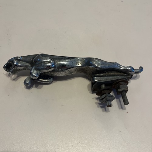 Jaguar leaping cat large - jaguar,