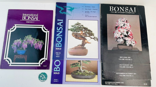 International bonsai lot 7 - international,