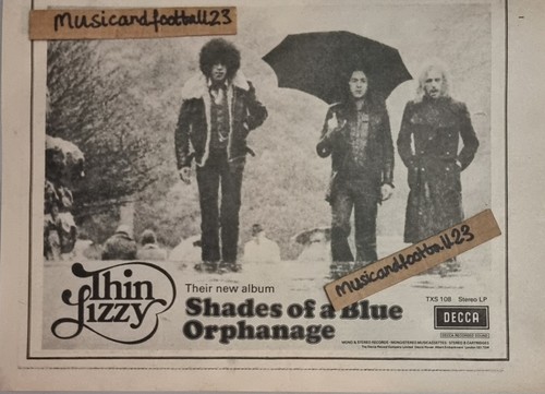 Thin lizzy shades - lizzy, a