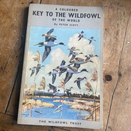 Coloured key the wildfowl - key,