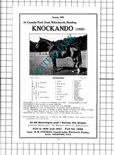 Knockando Horse Racehorse Coombe Park Stud Whitchurch RM Stockley  - 1927 Advert