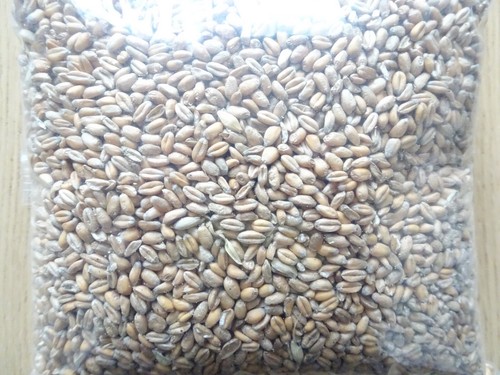 Whole wheat british grown - whole,