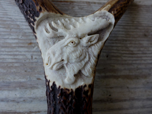 Antler handle moose - , head