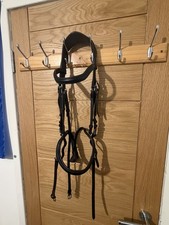 Acavallo Allegoria Anatomic