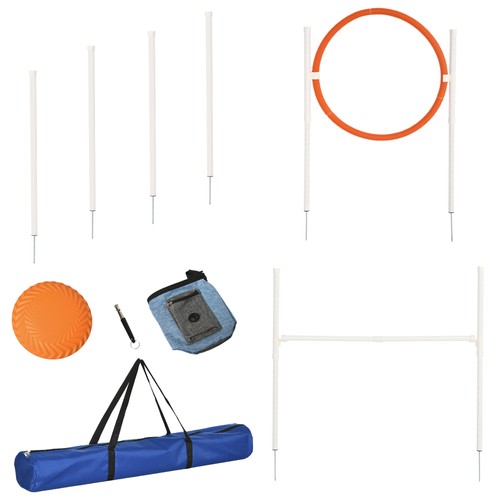 Dog agility equipment - dog,