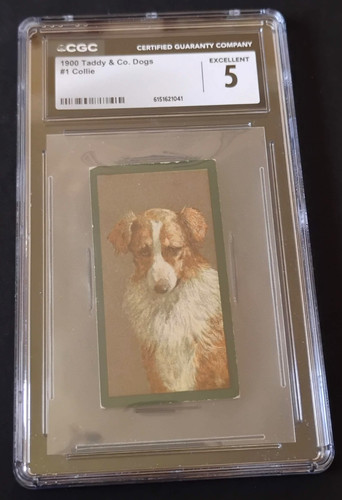 1900 taddy dogs 1 - &, co.
