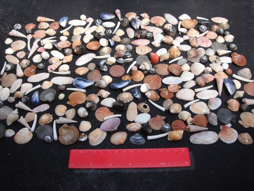 Job lot 250 small - of,