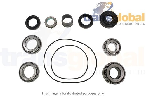 Full rear diff bearing pinion - full,
