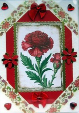 Red Carnation Flower - Hand