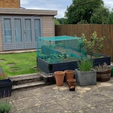Fruit vegetable cage with - &,