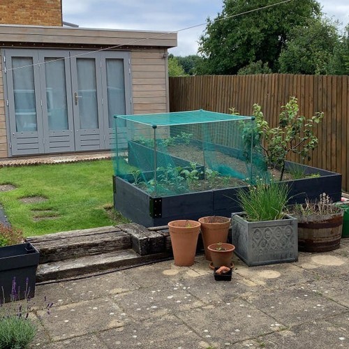 Fruit vegetable cage - fruit,