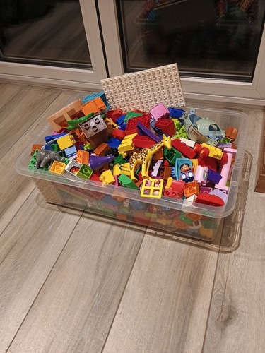 Duplo bundle massive - duplo,