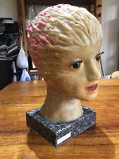 VINTAGE MOVIE FILM PROP WAX HEAD METAMORPHOSIS CULT SCI FI FANTASY HORROR ALIEN