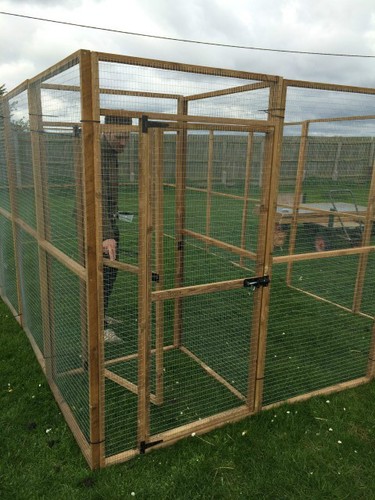 Large outdoor wood animal run - outdoor,