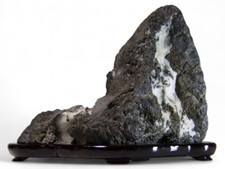 Suiseki Viewing Stone Bonsai