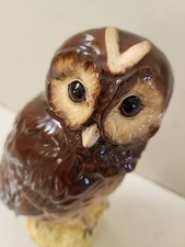 Tawny Owl Whyte and Mackay