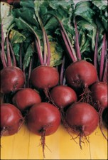 Mixed Pack Beetroot Plug