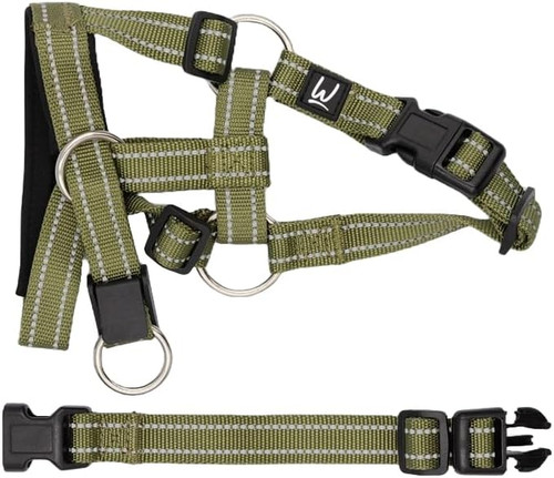 Pull dog head - dog, collar