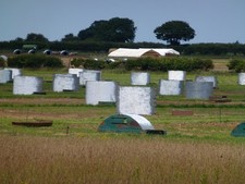 Photo A1 Pig arks standing on