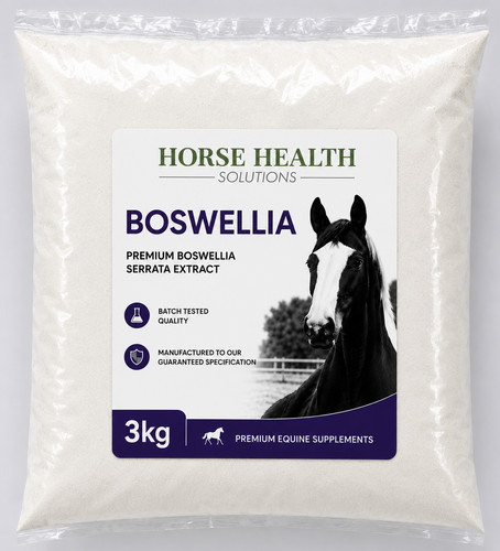 Boswellia serrata powder - serrata,