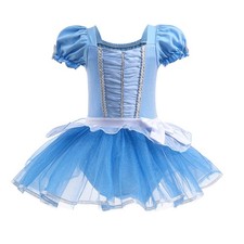 Girls Elsa Cinderella Costume
