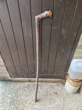 Black Thorn Root Stick.