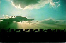 Intercourse PA Old Amish