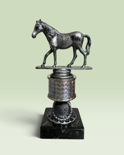 Silver equestrian trophy award - equestrian,